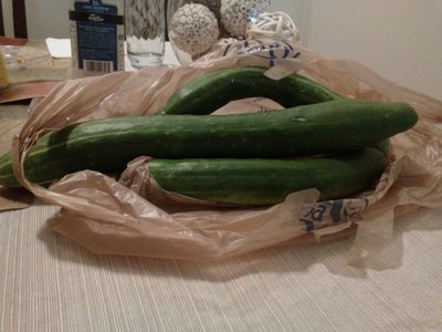 огурцы.jpg