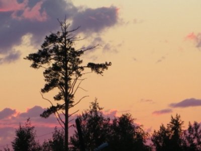 IMG_0679.JPG