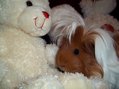 100_5747.JPG