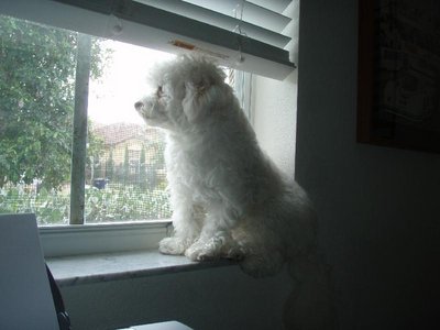 Copy (2) of P5260266.jpg