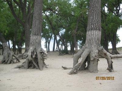 Copy of pic 162.jpg