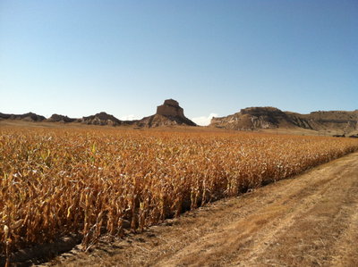 Copy of IMG_0034.jpg