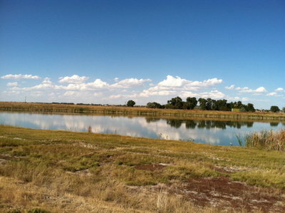 Copy of IMG_0056.jpg