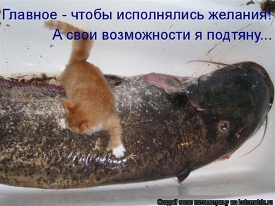 iJK2wsRggpk.jpg