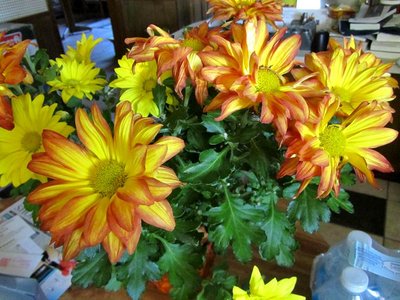 IMG_1167.JPG