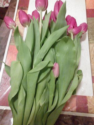 flowers.jpg
