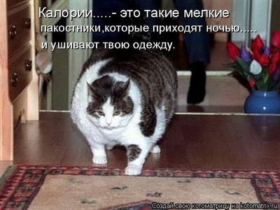 92f41defad3629036614e786b882c16a_full.jpg