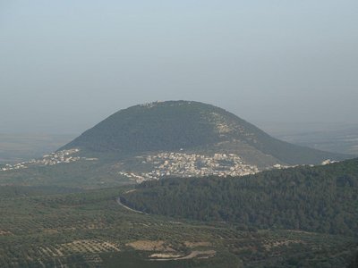 91.JPG