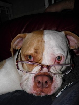 Ira en Bertha 032.JPG