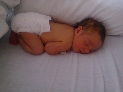 2012_12_07 resting before trip at home.jpg