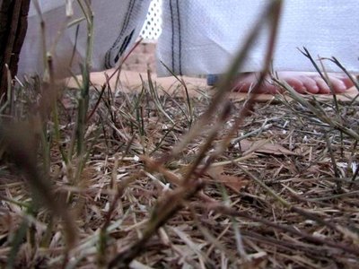 ГАДСКАЯ ЩЕЛЬ.JPG