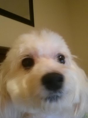 max.jpg