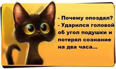 кот.jpg