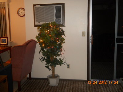 Christmas'12 002.jpg