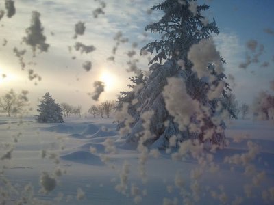 winter.jpg