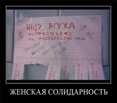 -N1V-Wrs8wQ.jpg