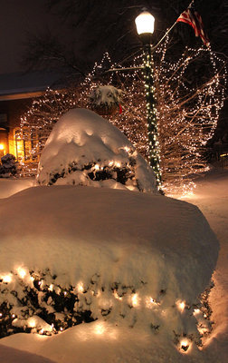 white_christmas.jpg