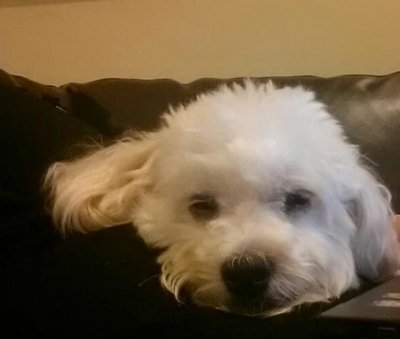 20121229_230237_resized.jpg