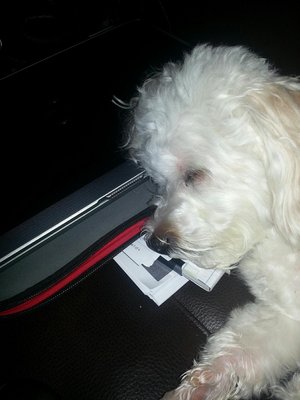 20121229_145703_resized.jpg