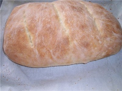 779358725e62.jpg