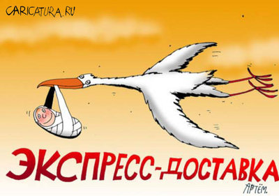 аист.jpg