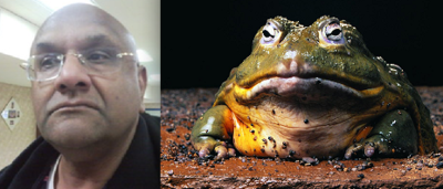 Screen Shot 2013-01-29 at 6.21.01 PM.png