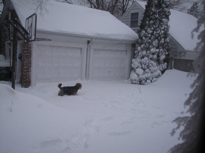 IMG_0200_1.jpg