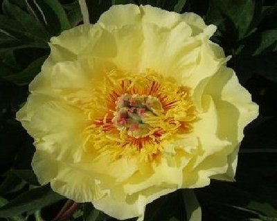 garden_treasure_0.jpg