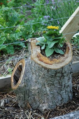 garden_-_garden_fence_-_garden_planters_-_tree_stump_planter_via_pinterest.jpg