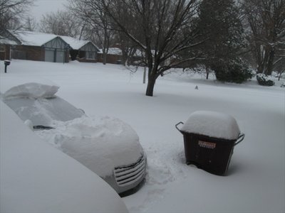 snoow.jpg
