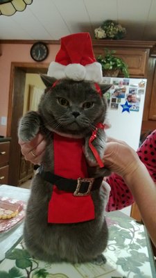 image.jpg