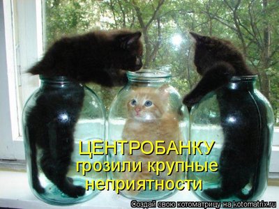 1049615.jpg