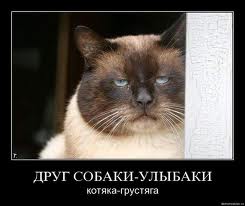 images.jpg