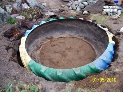 pond2.jpg