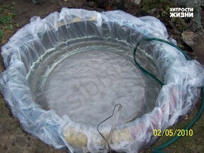 pond4.jpg