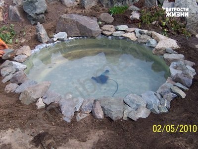 pond6.jpg