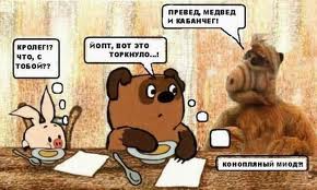 images3.jpg