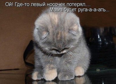 HJQgXRgTlgM.jpg