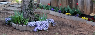 IMG_1298 - Copy.JPG