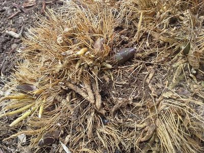 20130407_120444-2.jpg