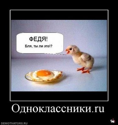 odnoklassniki.jpg