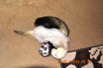 DSC_0129small.jpg