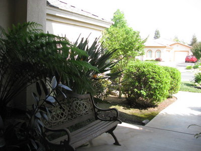 IMG_3168.JPG