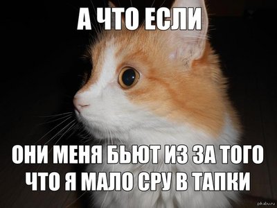 947381_542751259111217_76821026_n.jpg