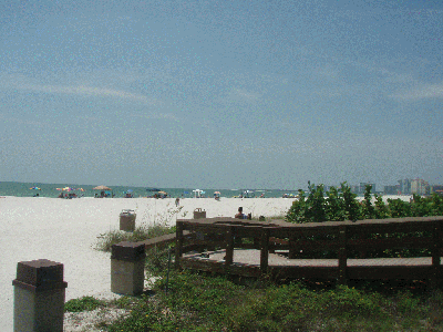 P6210348.gif