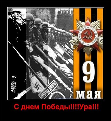 d9146c0d5c73.jpg