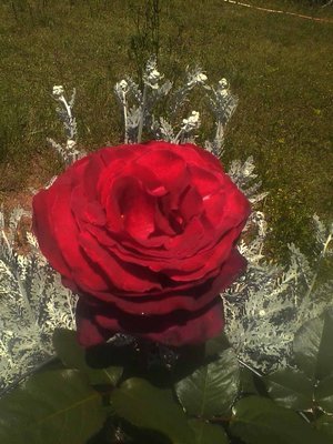 open firefighter.jpg