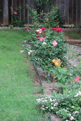IMG_5057 - Copy.JPG