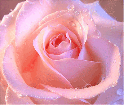bestgif.narod.ru_2148.gif