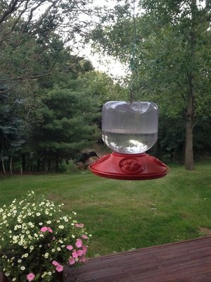 09-12 041 -n.jpg